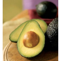 100% Organic Fresh Avocado / Hass Avocado, Fuerte Avocado